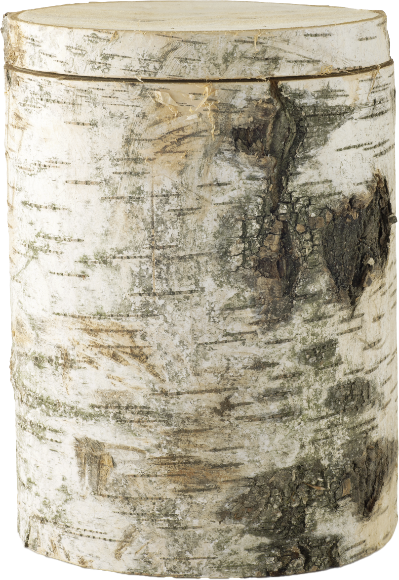 Baumurne, Birke